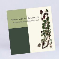 Wiesenknopf und die wilden 13